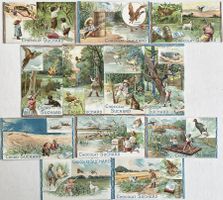 Suchard - Serie von 12 Chromobilder / Anciennes chromos 1902