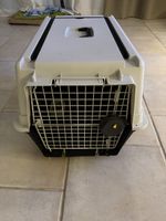 Transportbox Hund Katze sauber klein mittel
