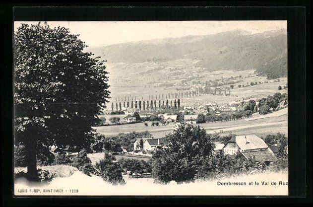 Dombresson, Vue Générale et le Val de Kaufen auf Ricardo