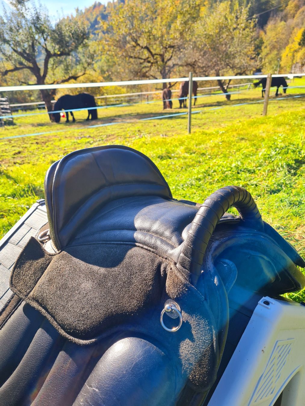 Selles, accessoires: Baumloser Hilason Trekker Sattel – D'occasion à Gadmen par Free21 5
