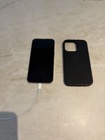 iPhone 13 Pro / 256 GB