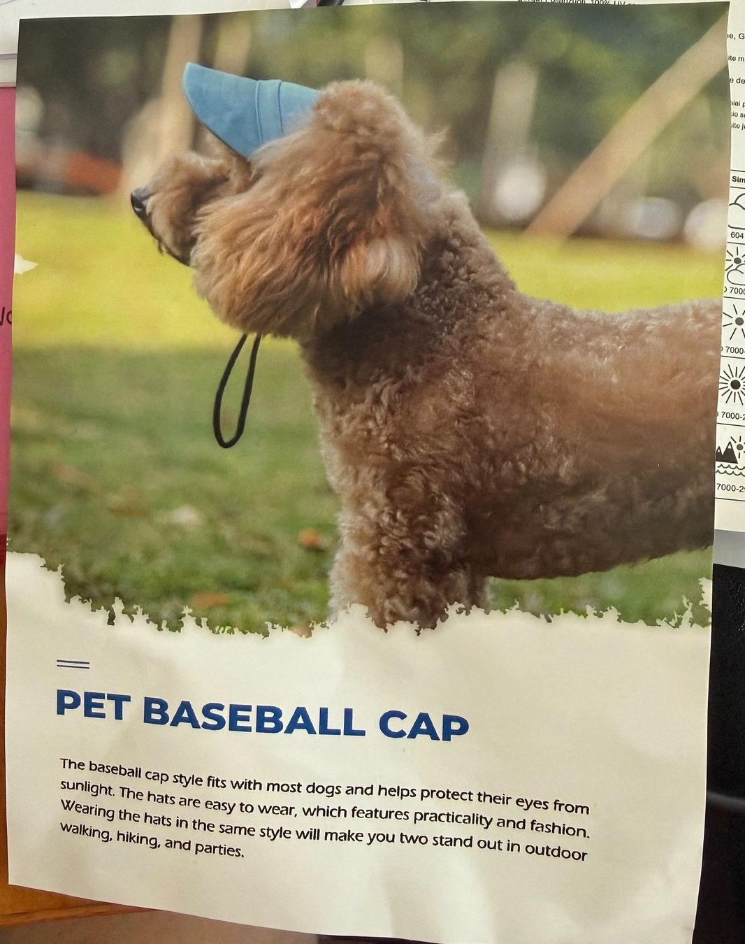 Copricapi, berretti & cappellini: Pet Baseball Cap für grosse Hunde – Nuovo e nell'imballaggio originale da Wohlen AG venduto da Schobe2004 5