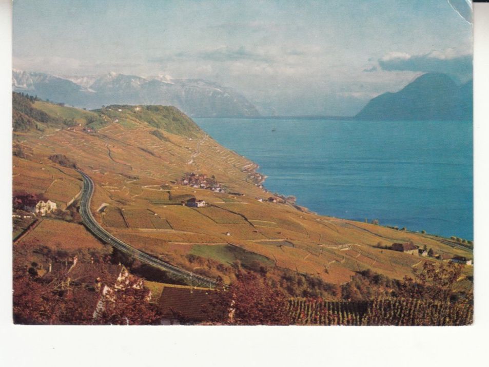 Cartes postales: Lavaux 1968 – D'occasion à Bürglen TG par StampGraf