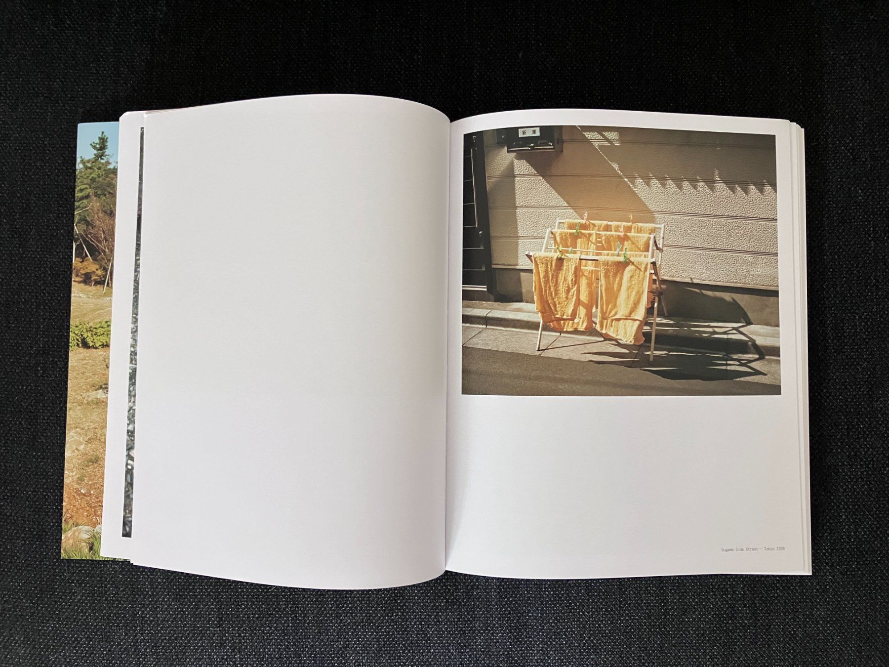 Libri: Emily Shur - Super Extra Natural – Nuovo (secondo la descrizione) da Adliswil venduto da lauryyrual 2