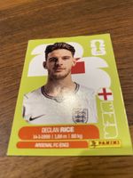 Panini ENG 10