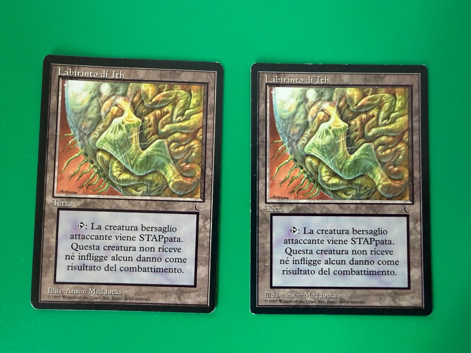 Magic: The Gathering - Root Maze (Labirinto Di Radici) - Tempest (TMP) - Carta Rara - 4