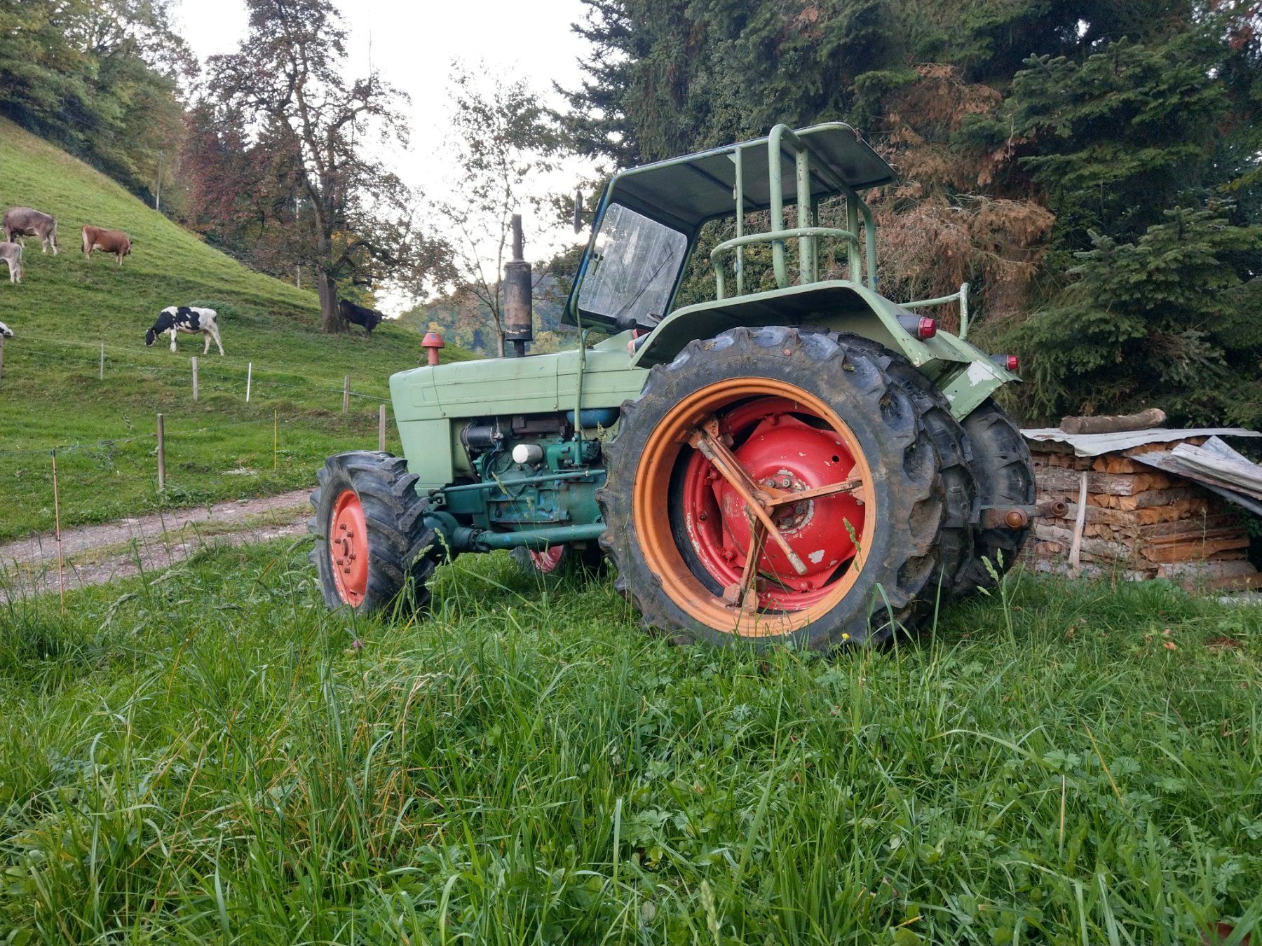 Ford Trattori: Ford 3000 Allrad – Usato da Berneck venduto da stev_2010 5
