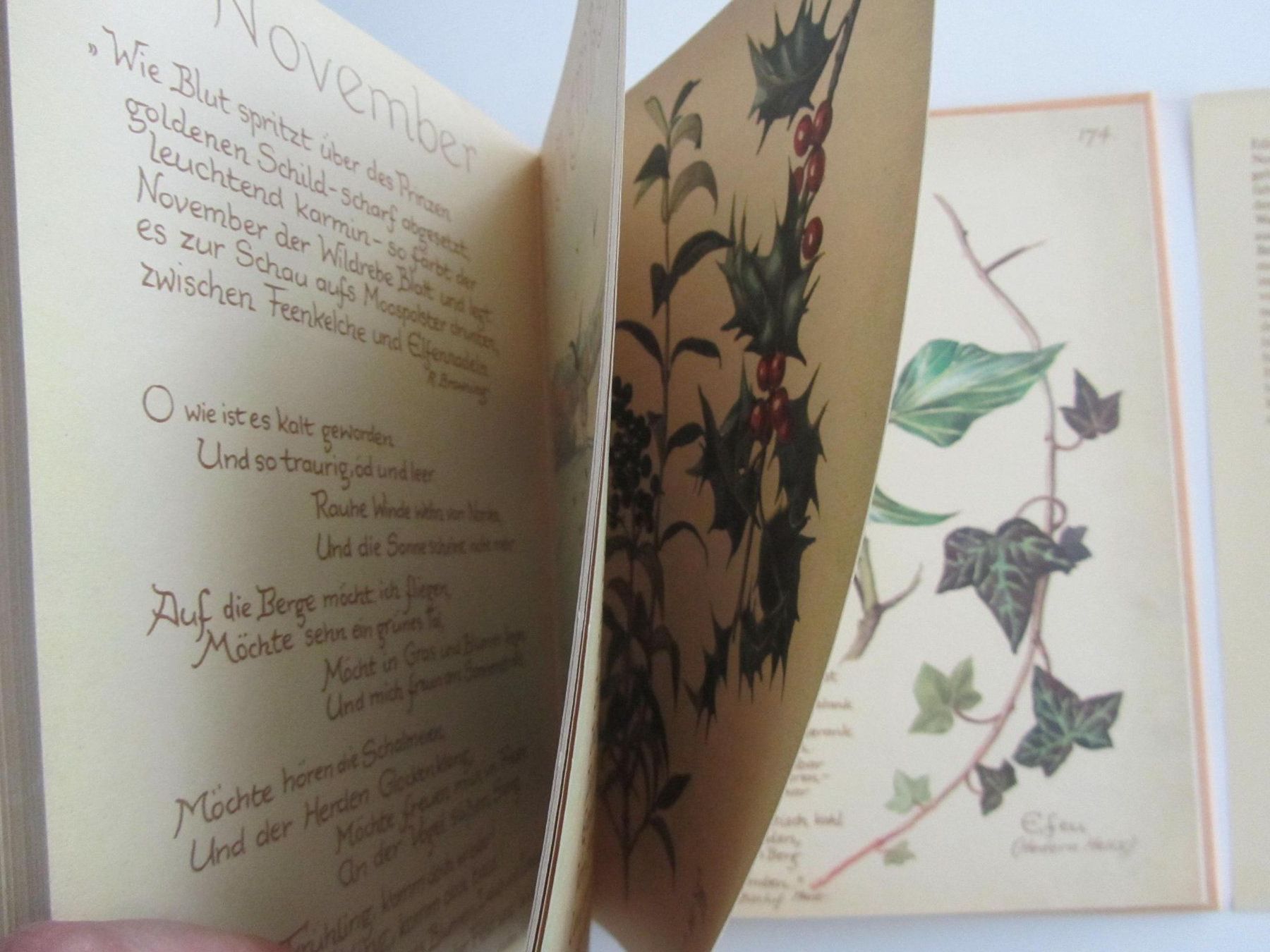 Libri: Das Tagebuch der Edith Holden. – Usato da Locarno venduto da edn.vintage 7