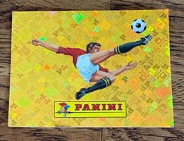 Panini WM 2026