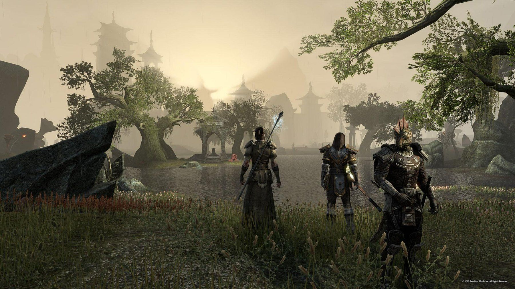 Sony Giochi: The Elder Scrolls Online Tamriel Unlimited  PS 4 – Usato da Schüpfheim venduto da Games_Spielkonsolen 9