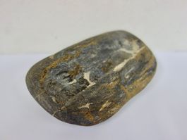 Versteinertes HOLZ Fossil Flussstein OREGON USA
