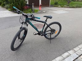 Scott-Velo