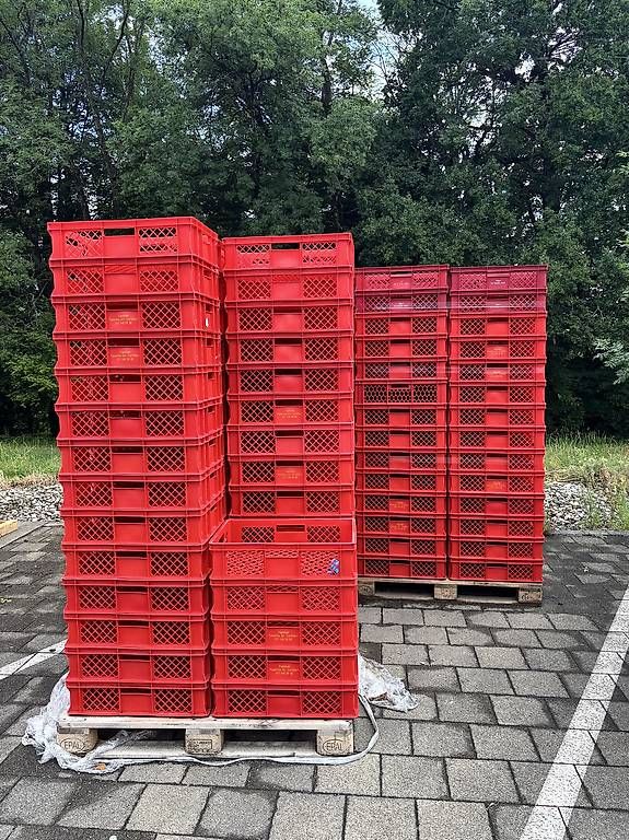 Caisses de transport: Kisten – D'occasion à St. Gallen par frl_8qv9