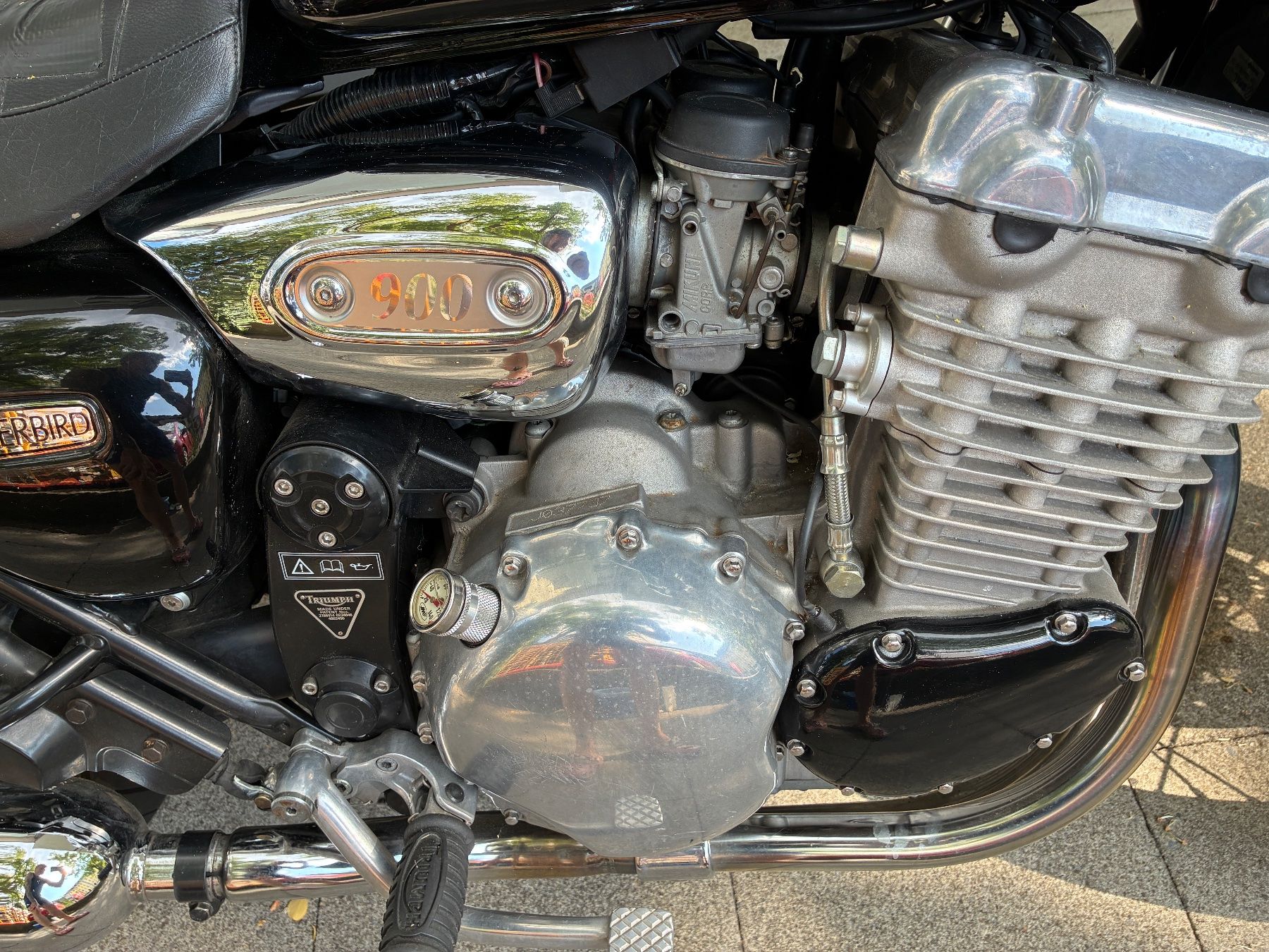 Triumph Strasse: Triumph Thunderbird 900 1996 – Gebraucht aus Bern von adonatsch123 4
