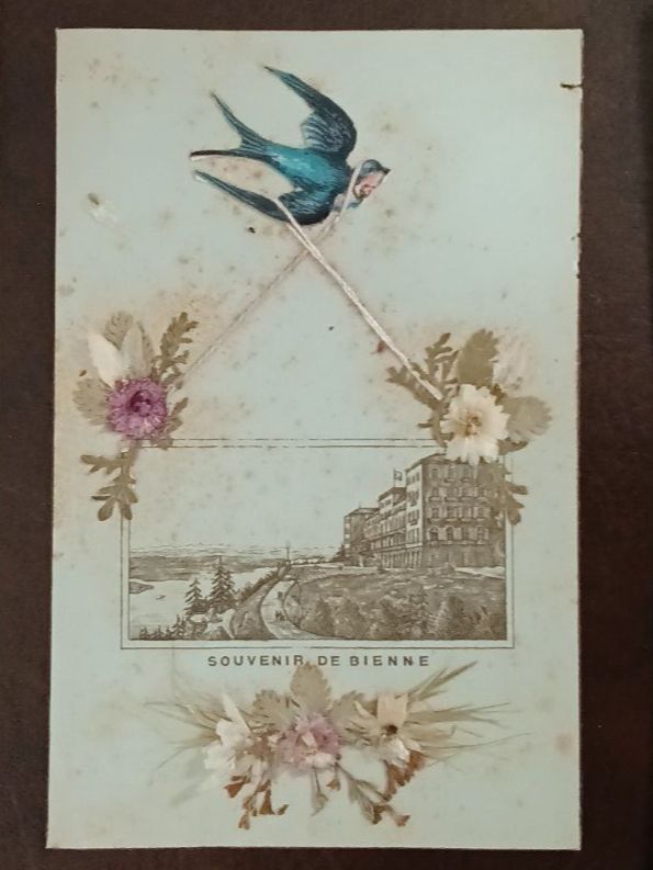 Cartoline postali: 3 antike Postkarten mit Abbildungen von Biel, 1906 – Usato da Hohenrain venduto da mr10 3