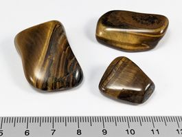 Tigerauge Trommelsteine 3Stk. 21 bis 34mm