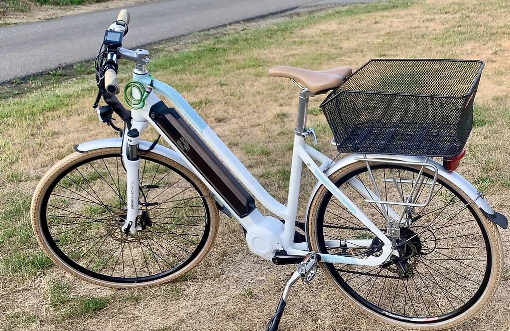 Biciclette: Allegro e-Bike Discovery – Usato da Zeiningen venduto da bur_vtl8