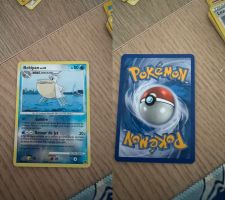Bekipan 48/106 reverse holo