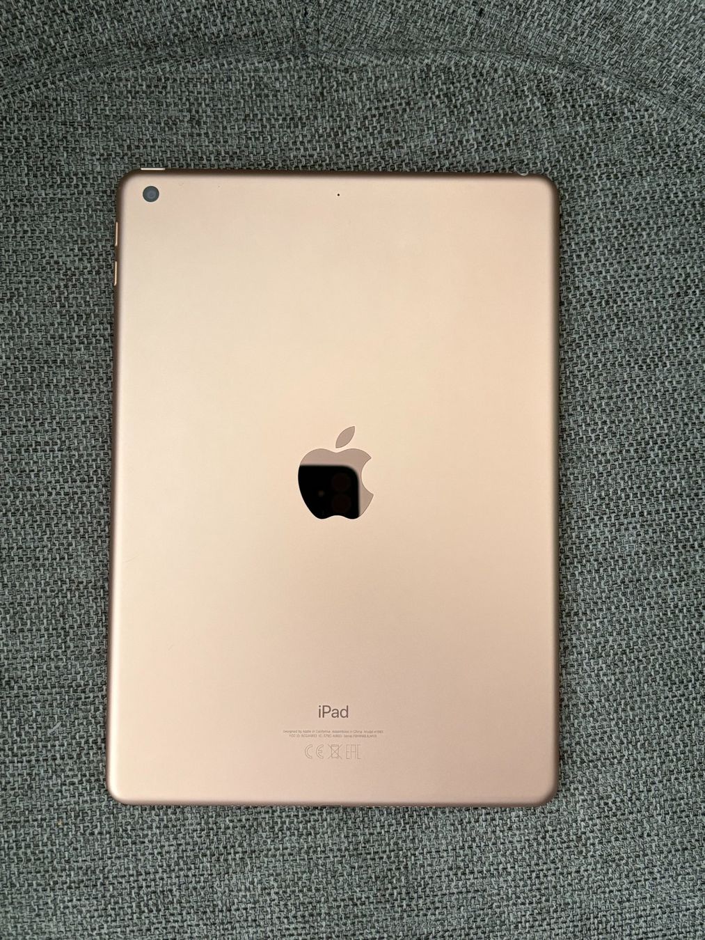 Apple Tablettes PC: iPad mit Hülle (6th generation, 32 GB) – D'occasion à Fislisbach par Nelehmu