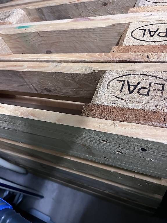Pallets: 4 Europaletten – Usato da Nussbaumen AG venduto da sziszi89 2