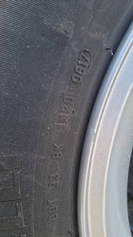 Pneumatici & Ruote complete: Sommerpneu Ford Focus – Usato da Burgdorf venduto da subaru059 3