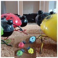coccinelles* célèbre làmour *Prüfungskäferli tolles Geschenk