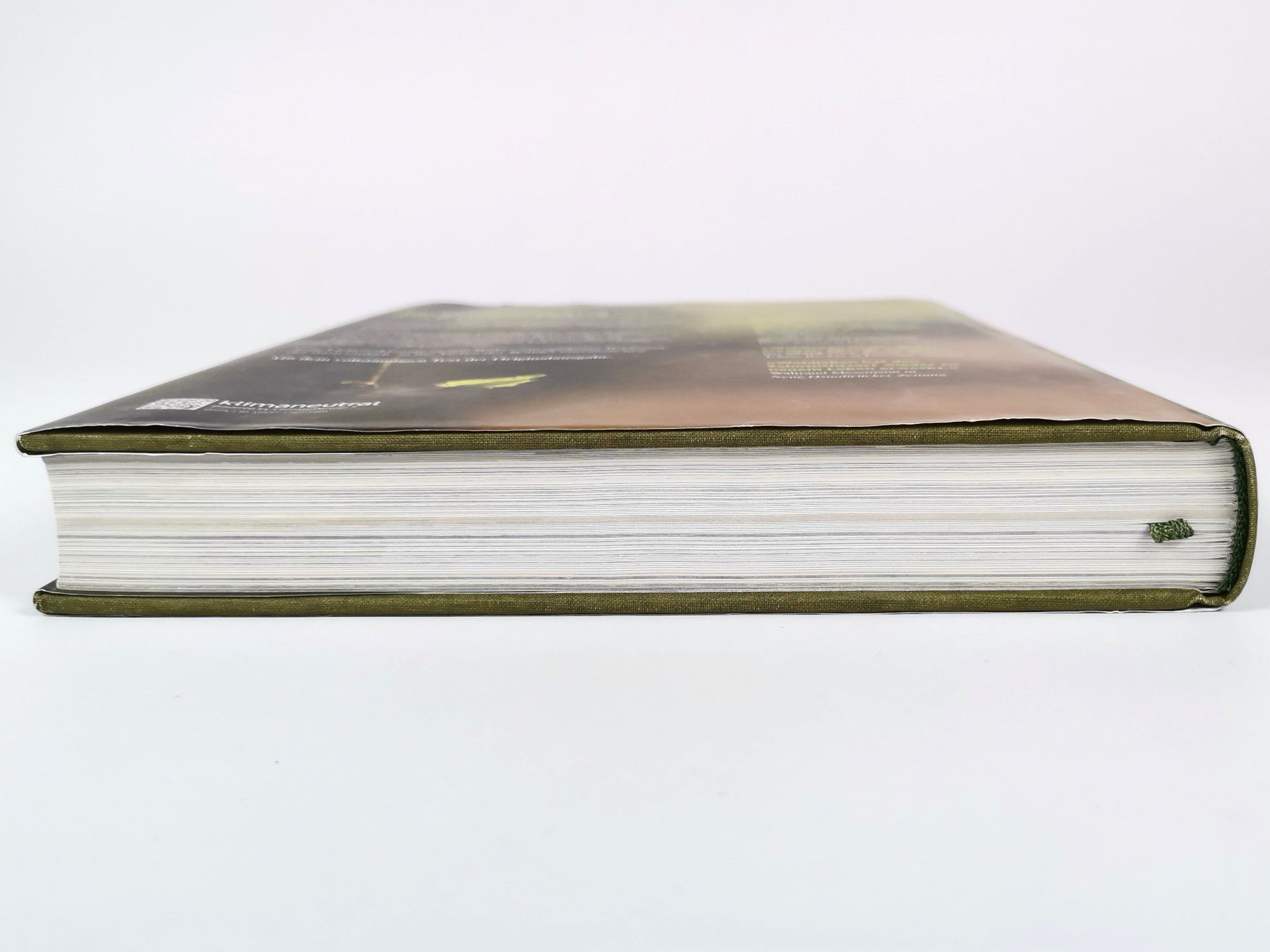 Libri: BUCH Das geheime Leben der Bäume – Usato da Schaffhausen venduto da Restwert_SH 2