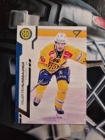 Valentin Nussbaumer HC Davos Sportzoo 2024/25