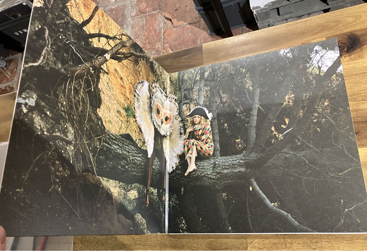 Schallplatten: GOLDFRAPP Seventh Tree 2008 Vinyl LP – Gebraucht aus Belp von B7L0 2