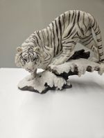 Weisser Tiger 20x26cm