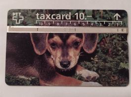 Taxcard PTT Swiss Telecom 10.- Hund
