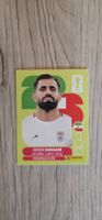 World Cup Panini IRN 8