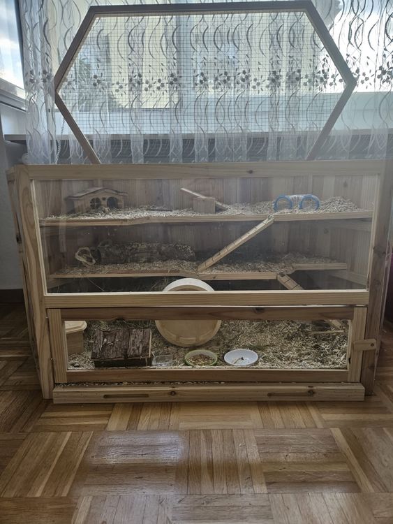 Hamsterkäfig Set Mit Zubehör - 42x31x26cm Mit Laufrad & Futternapf