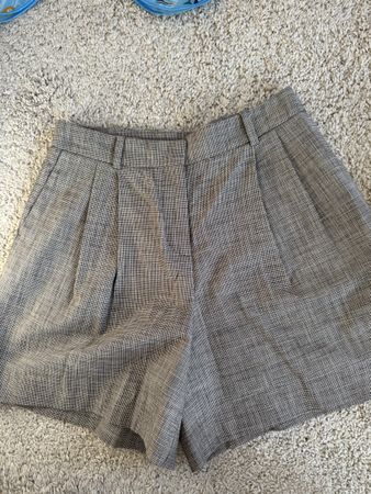Zara shorts