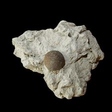 Profile image of TicoSuizo67