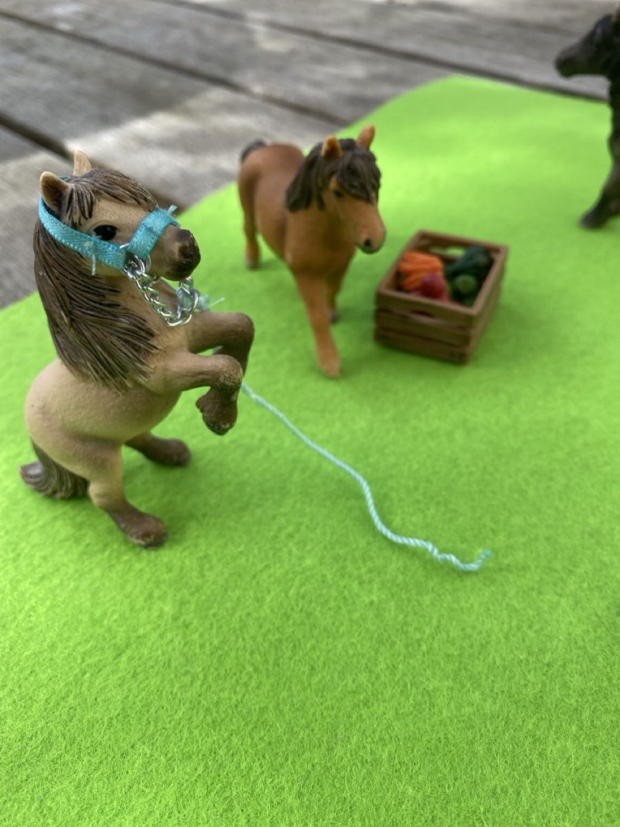 Schleich Giocattoli: Schleichponnys mit Zubehör – Nuovo (secondo la descrizione) da Wädenswil venduto da nomis05 1