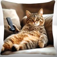 😻Gemütliche Katze & Fernbedienung Kissenbezug–Sofa Style🛋️