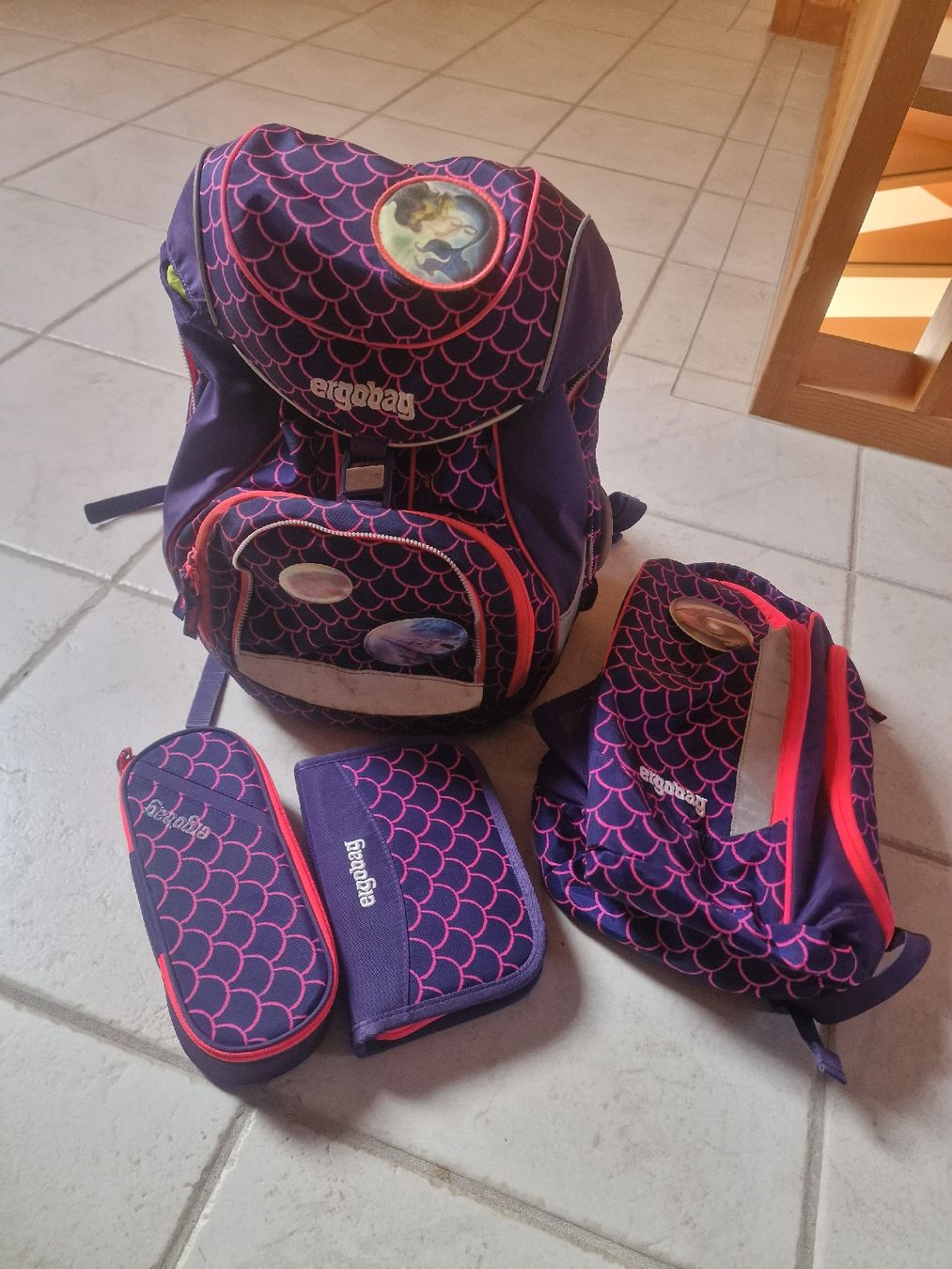 Ergobag Borse & Zaini: schulrucksack inkl Regenschutz – Usato da Ursenbach venduto da nicole90