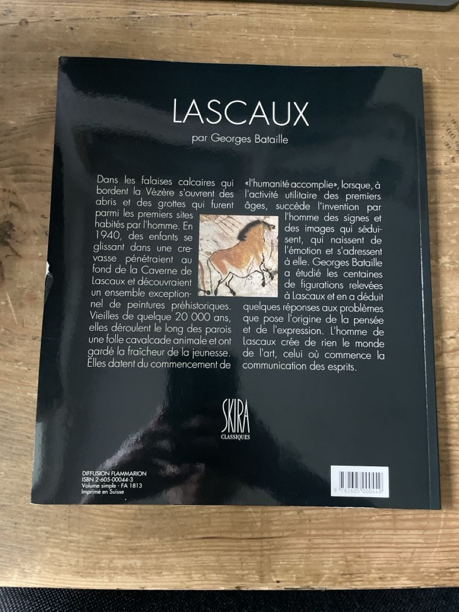 Libri: Kunstkatalog Lascaux Skira 1992 – Usato da Winterthur venduto da cheerio97 1