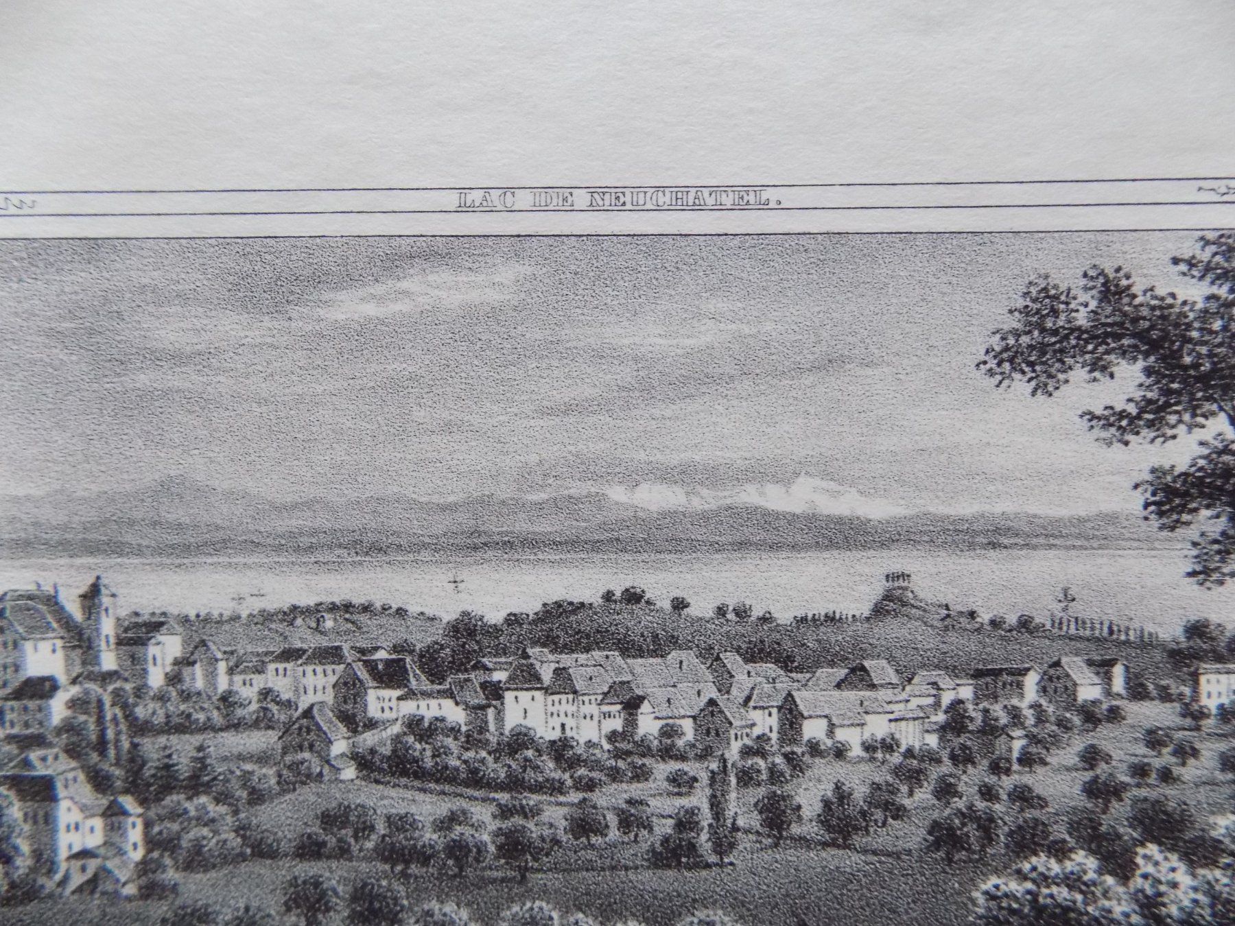 Incisioni: Colombier Lithographie um 1855 – Usato da Risch venduto da Antikfee 6