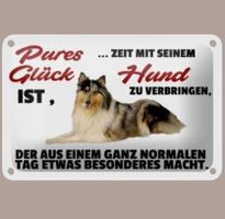🔥 COLLIE Hunde Blechschild 🎀 12x18cm OVP 🔥