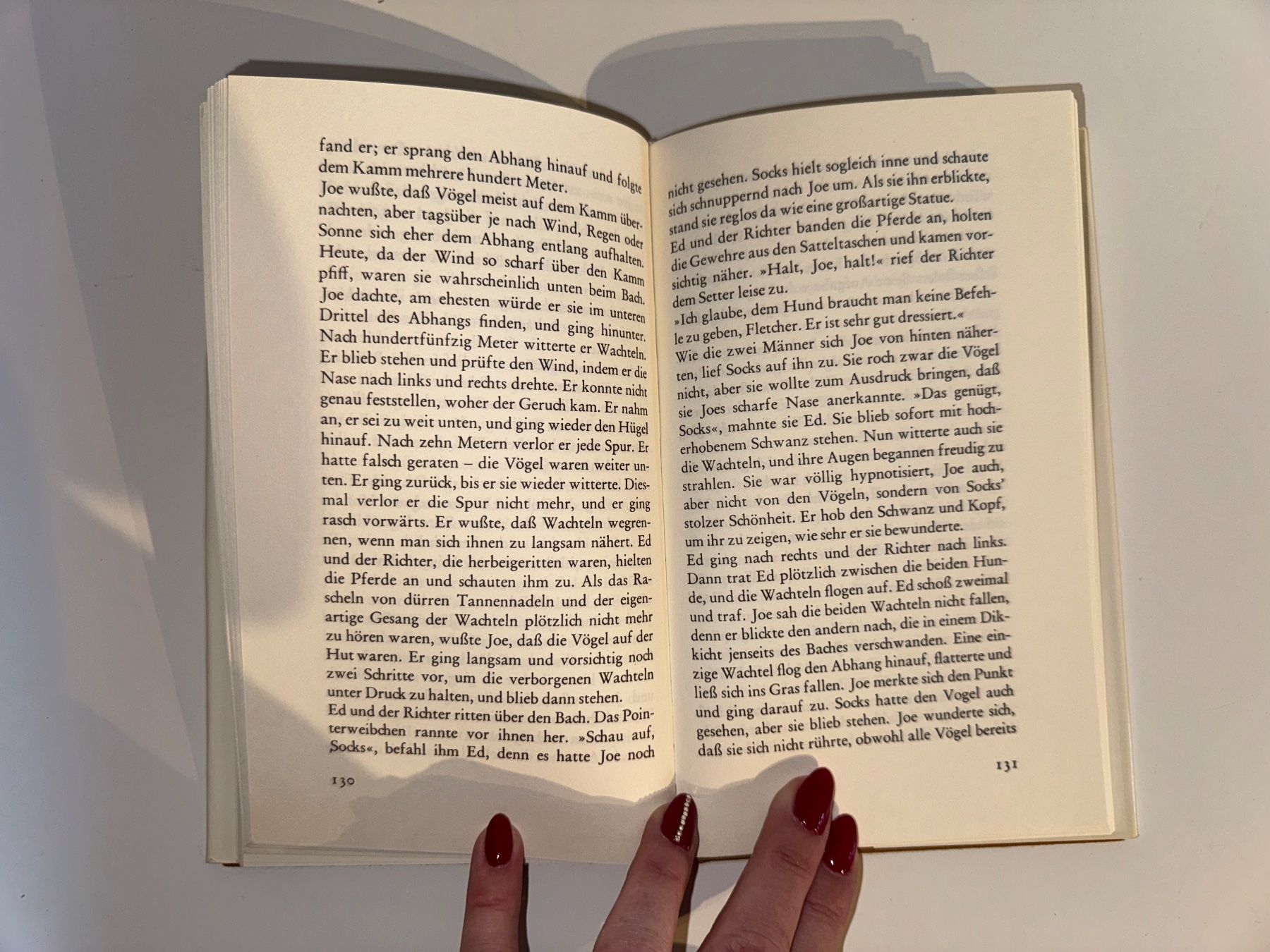 Livres: Buch: Junius Watson, Joe der Setter – D'occasion à Grosswangen par Second_hand_paradise 5