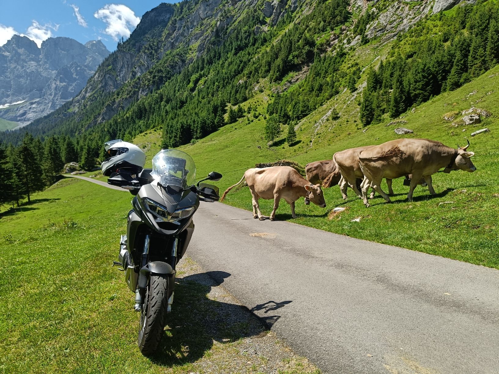 Honda Touring: Honda VFR 800 X Crossrunner – Usato da Männedorf venduto da alexzaw 6