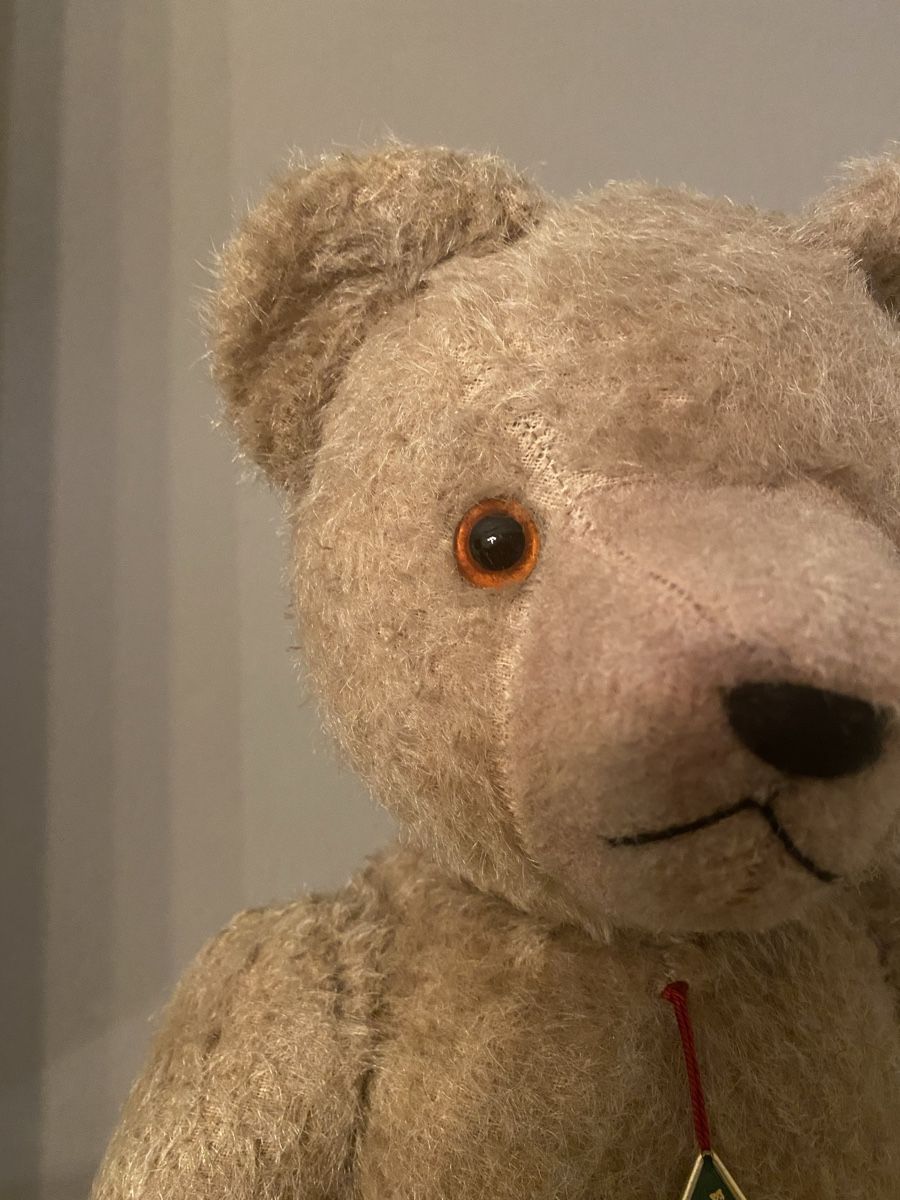 Teddy Hermann Giocattoli: Original Teddy Bear Hermann anni 50 – Usato da Mendrisio venduto da SGR85 3
