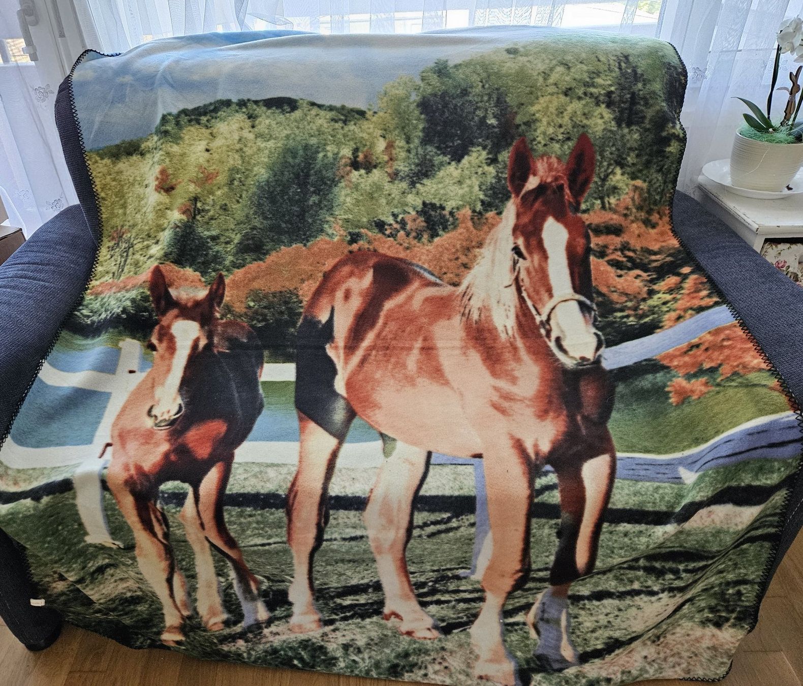 Coperte: Kuschelige Fleecedecke mit Pferdenmotiv – Nuovo (secondo la descrizione) da Muttenz venduto da Gepard23 1