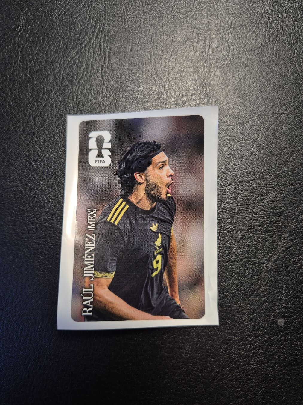 Panini Carte collezionabili: Cola Panini Raul Jimenez – Nuovo (secondo la descrizione) da Künten venduto da An44As26