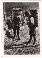 Fotografie St. Martin / Weinstrasse, M