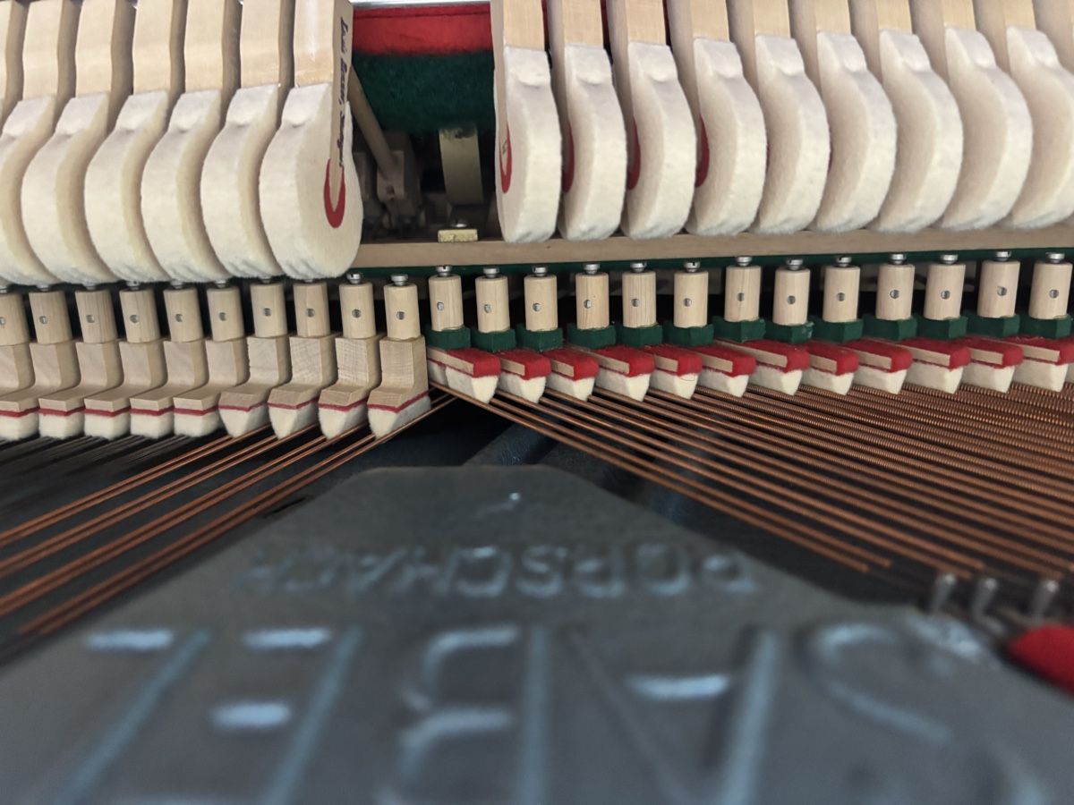 Strumenti musicali: Salbei Upright Piano – Usato da Zollikon venduto da ric_mk5n 8