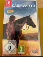 Nintendo Switch Spiel Ostwind - Aris Ankunft - TOP ZUSTAND