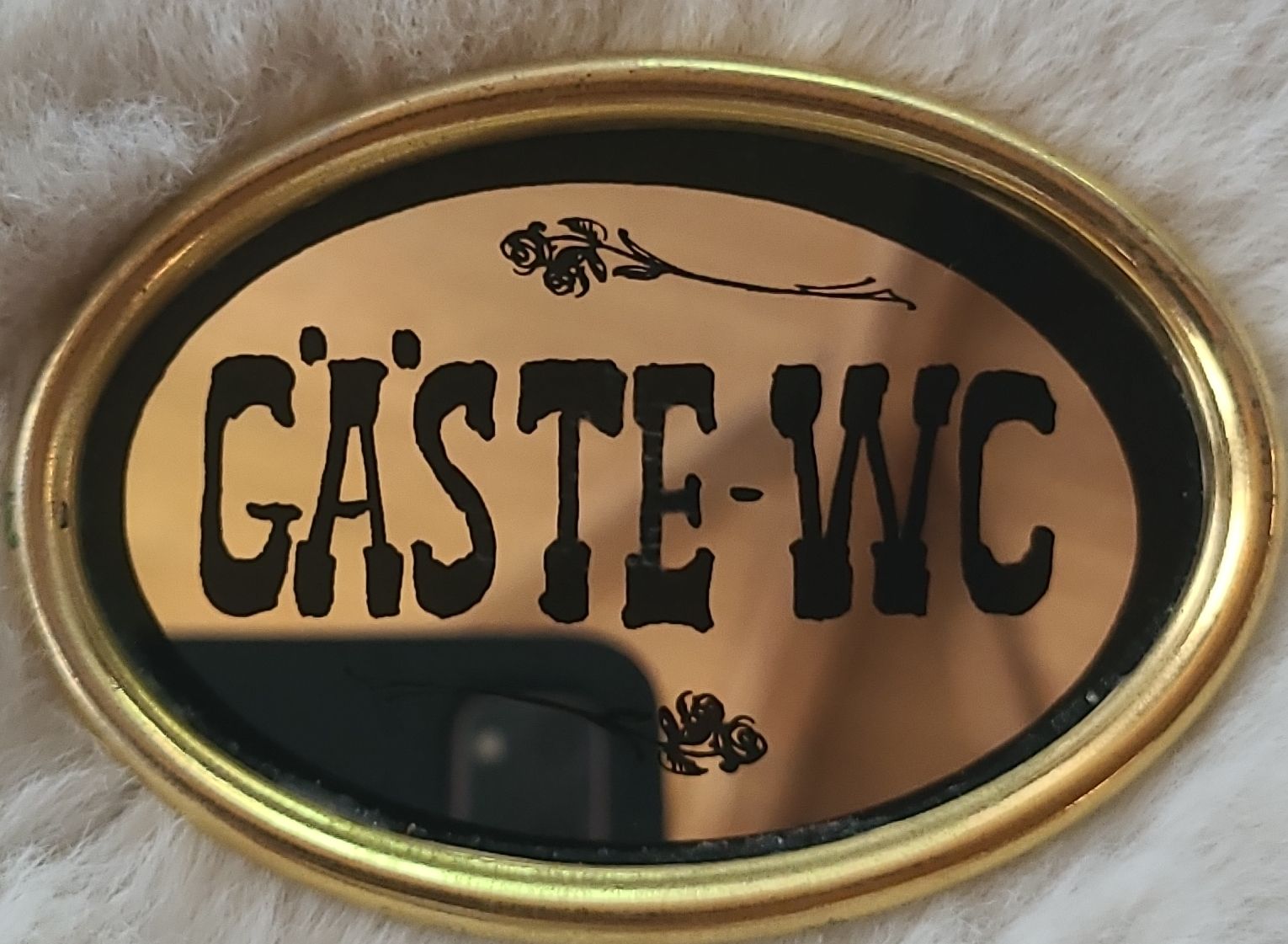 Insegne: Schild GÄSTE-WC oval Spiegel  – Usato da Horgenberg venduto da Klatschmohnmaria